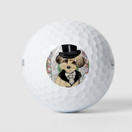 BALLES DE GOLF YORKIE POO (Devant)