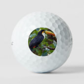Balles De Golf You Toucan Sit In The Treetops, (Recto)