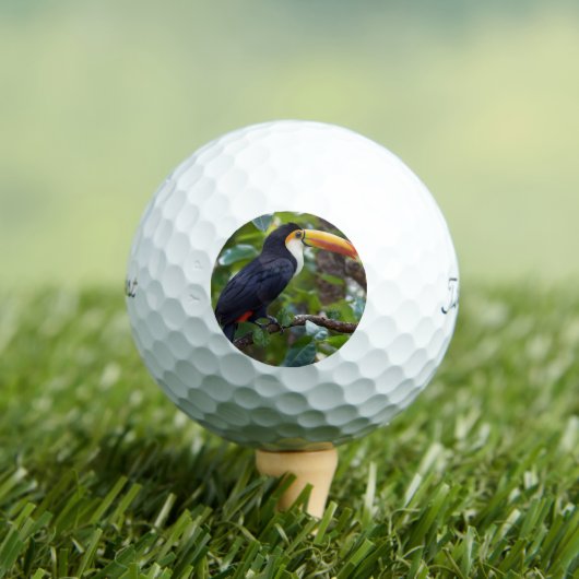 Balles De Golf You Toucan Sit In The Treetops, (T-shirt Insitu)