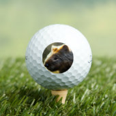 Balles De Golf Young Australian Wombat, Golf Balls (T-shirt Insitu)