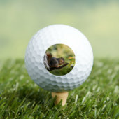 Balles De Golf Zen (T-shirt Insitu)