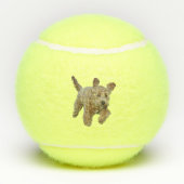 Balles de tennis avec le goldendoodle (Dos)