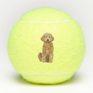 Balles de tennis avec le goldendoodle