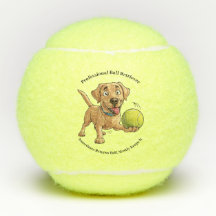 Bal de tennis "Professional Ball Retriever"