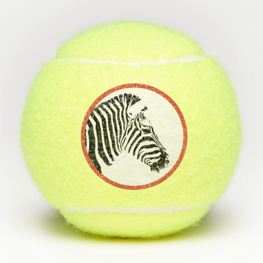 BALLES DE TENNIS BALL DE TENNIS ZEBRA PENN 2 (Devant)