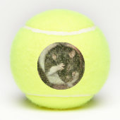 Balles De Tennis Casque (Dos)