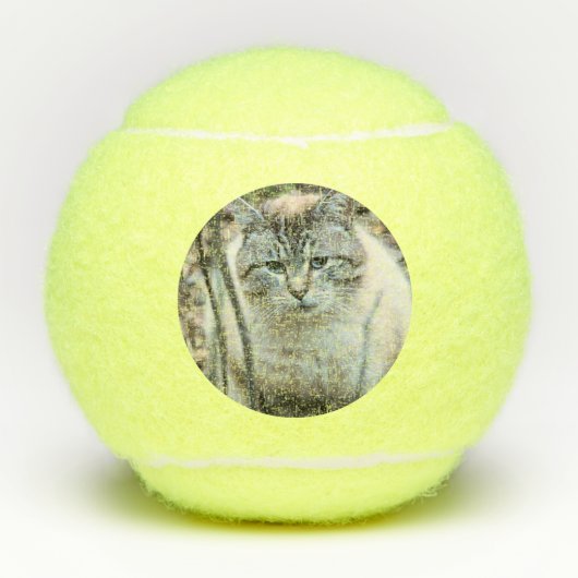 Balles De Tennis Cat (Devant)