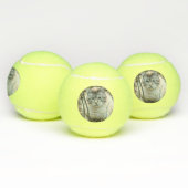 Balles De Tennis Cat (Multiple)