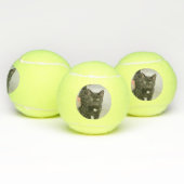 Balles De Tennis Cat (Multiple)