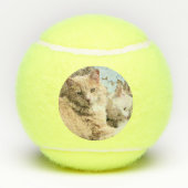 Balles De Tennis Chats (Dos)