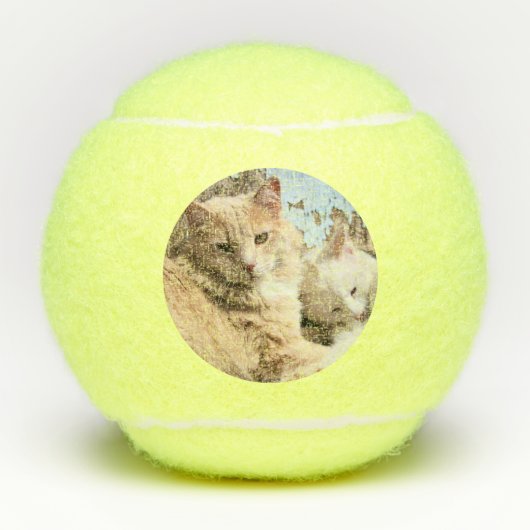 Balles De Tennis Chats (Devant)