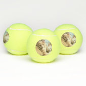 Balles De Tennis Chats (Multiple)