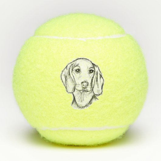 Balles De Tennis Chien-chien dragon (Devant)