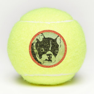 Balles De Tennis CHIEN FRANÇAIS BULL PENN 2 Tennis Ball