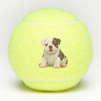 Balles De Tennis Chiot Bouledogue Anglais Mignon