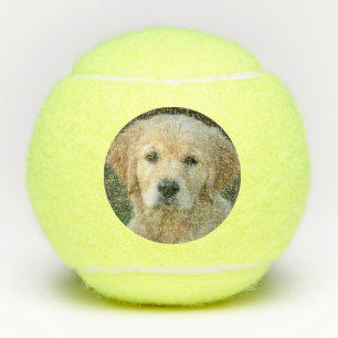 Balles De Tennis Chiot de Golden Retriever
