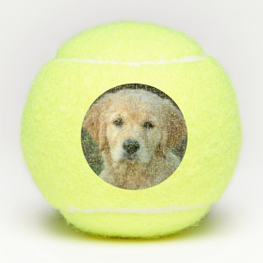 Balles De Tennis Chiot Golden Retriever (Devant)
