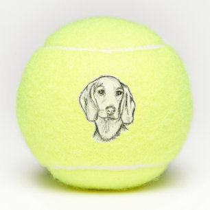 Balles De Tennis croquis de teckel dessiné à la main en noir et bla