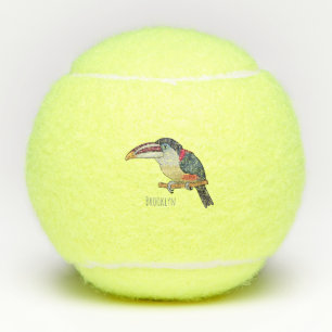 Balles De Tennis Curl crested aracari bird cartoon