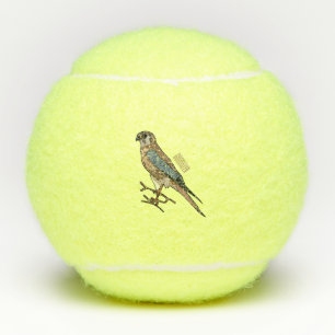Balles De Tennis dessin animé d'oiseau-kestrel américain
