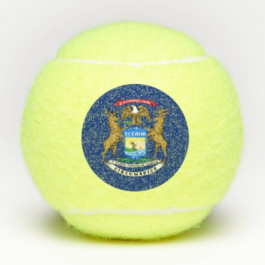 Balles De Tennis Drapeau de l'État du Michigan (Devant)