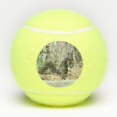 Balles De Tennis Écureuil (Dos)