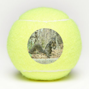 Balles De Tennis Écureuil