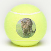 Balles De Tennis Gabe (Dos)