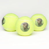 Balles De Tennis Gabe (Multiple)