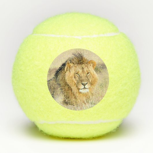 Balles De Tennis Grand majestueux lion sauvage photo (Devant)
