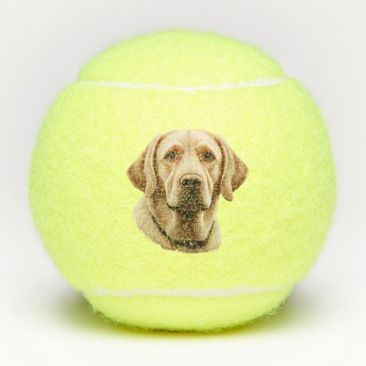 Balles De Tennis Illustration classique du Labrador Retriever (Devant)