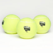 Balles De Tennis Illustration de la caméra (Multiple)