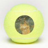 Balles De Tennis Jambon (Devant)