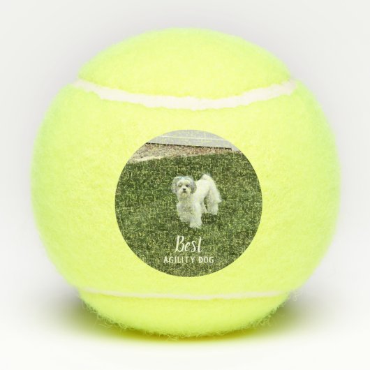Balles De Tennis La photo de votre animal de compagnie personnalisé (Dos)