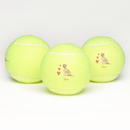 Balles De Tennis Labrador Retriever Chien personnalisé (Multiple)
