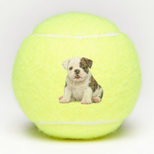 Balles De Tennis Mignon chiot Bouledogue Anglais