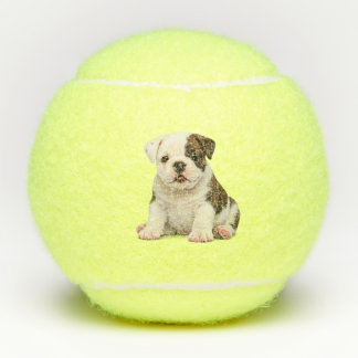 Balles De Tennis Mignon chiot Bouledogue Anglais