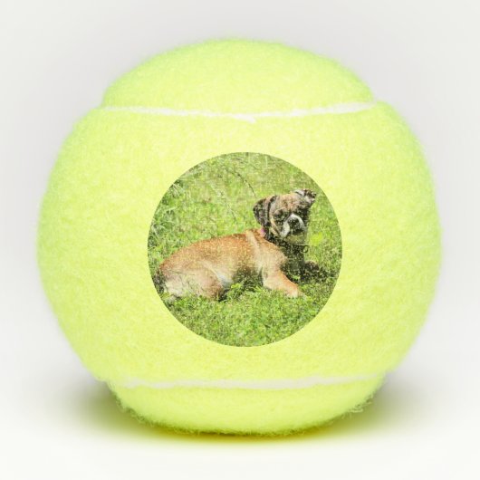 Balles De Tennis Molly (Devant)
