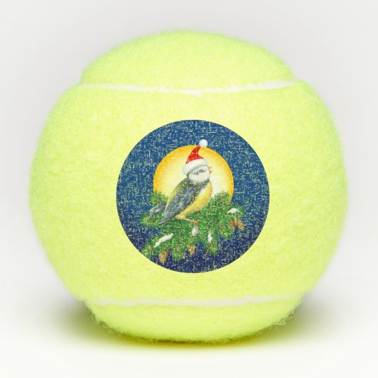 Balles De Tennis Oiseau à Santa Hat (Devant)