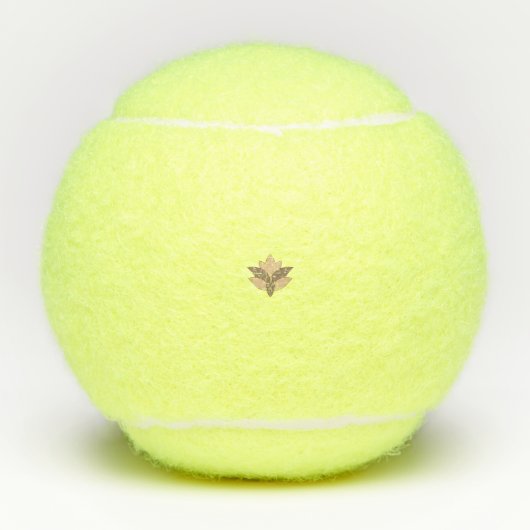 Balles De Tennis Orange rougeâtre (Devant)