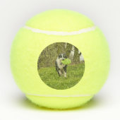 Balles De Tennis Personnaliser Halloween Frankenwalk Funny Chien (Dos)