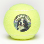 Balles De Tennis Photo de chien Anniversaire Favoriser le Merci per (Devant)
