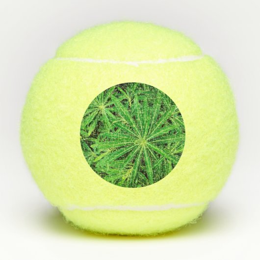 Balles De Tennis Plante vert (Devant)