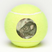 Balles De Tennis Rat (Dos)