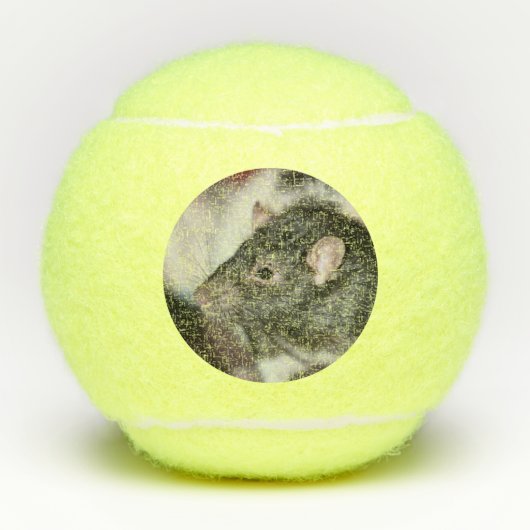 Balles De Tennis Rat (Devant)