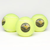 Balles De Tennis Snowdonia (Multiple)