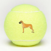 Balles De Tennis Super Dane Balls (Devant)
