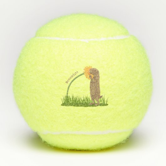 Balles De Tennis Un mignon chien de prairie reniflant la caricature (Devant)
