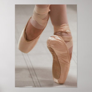 Balletdanser en Pointe, Voeten, Roze Satijnen Scho Poster