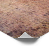 Balletrepetitie - Edgar Degas - 1904 Poster (Hoek)